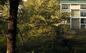 Falcon Crest